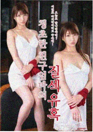 二手剧集交换 城南放映队